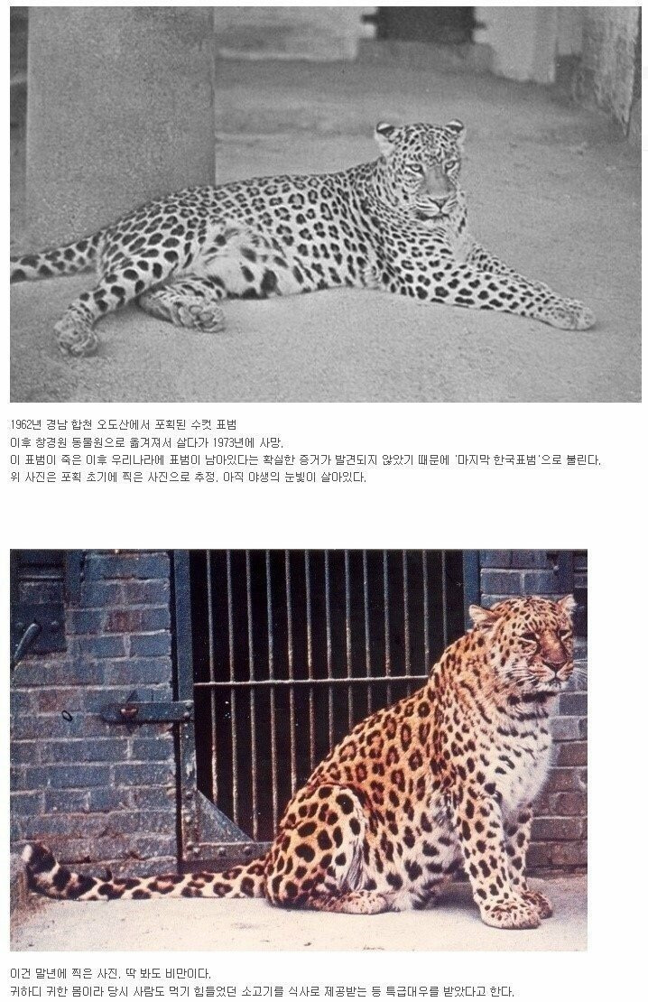 dec05230bcf35360f6f02b6ff7d4e2b82a42fb7a