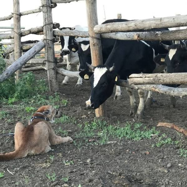 e2f07ea137ee3a7c42d0b986692c077d09b543f2