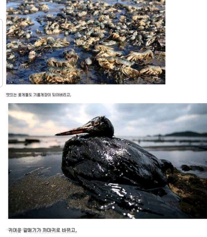 fae62618f0cbc9182320e999c254739f3a07ab4e