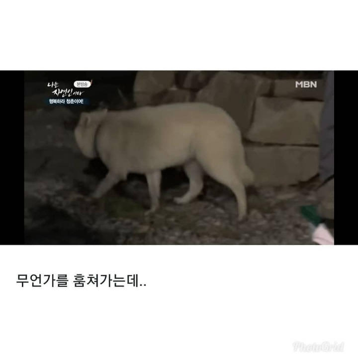 0a606be66a60c399004cc05f973652738fd9081c