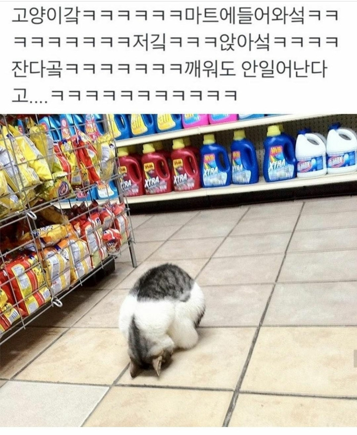 0f3aff831129720537d19d3f4a23466d91c3ad53