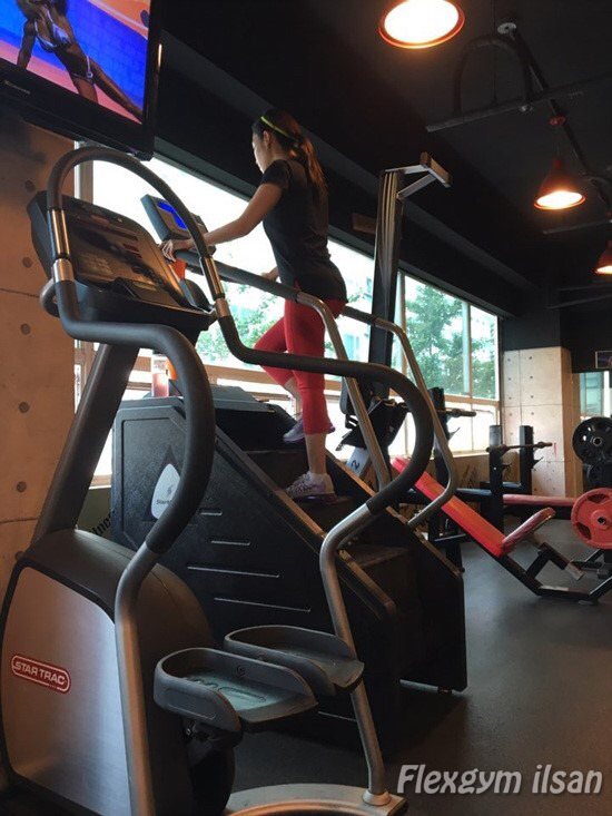 두발로 올라갔다가 네발로 내려온다는 운동기구.jpg