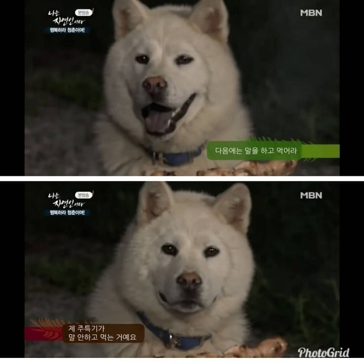 4f1562c108ae33cb182206a33d0b9c08d8cb487f