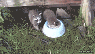 7c86e6de449fd2fd8dc6e67d8ce3c03a1dce7f42