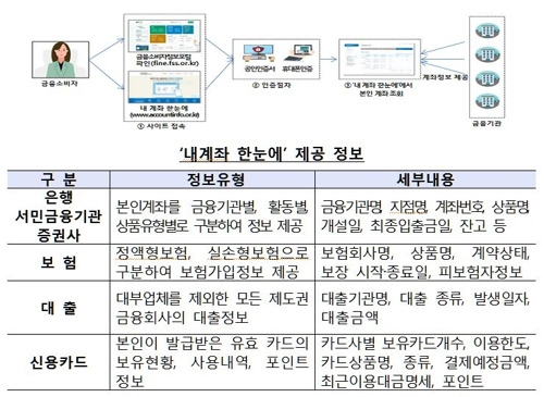 (금감원 제공)