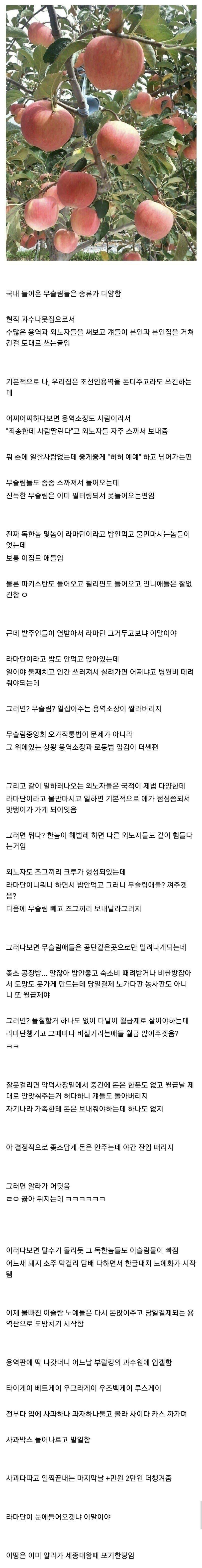 한국에 온 무슬림의 최후