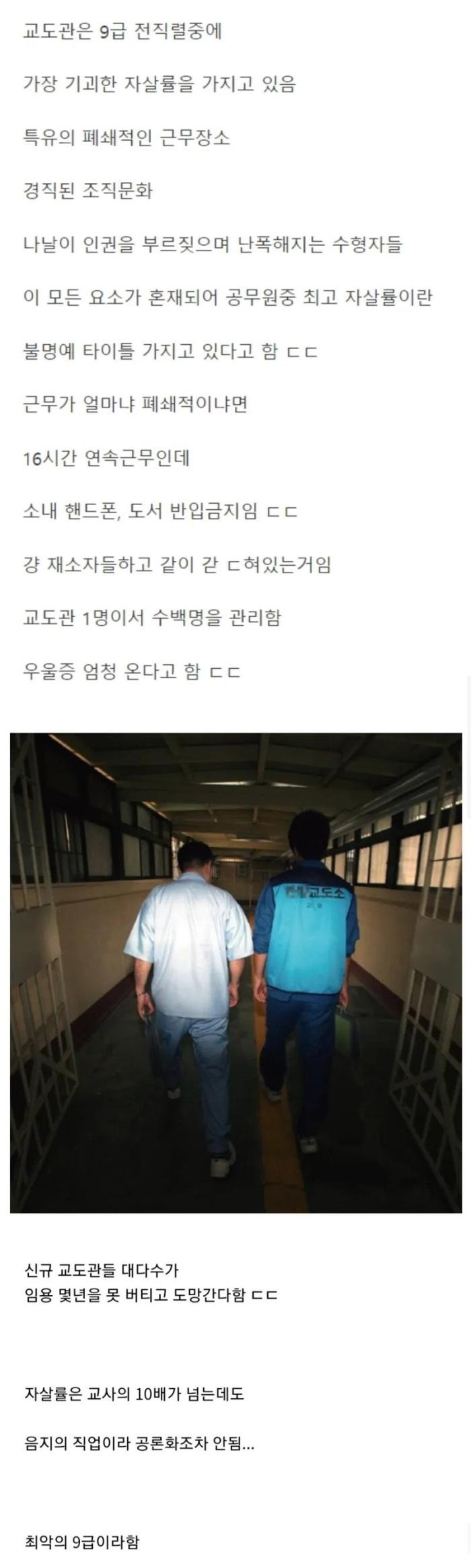 기괴한 자살률을 가진 직업