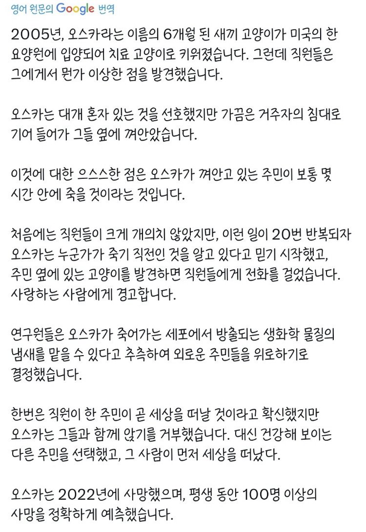 입양된 고양이의 능력