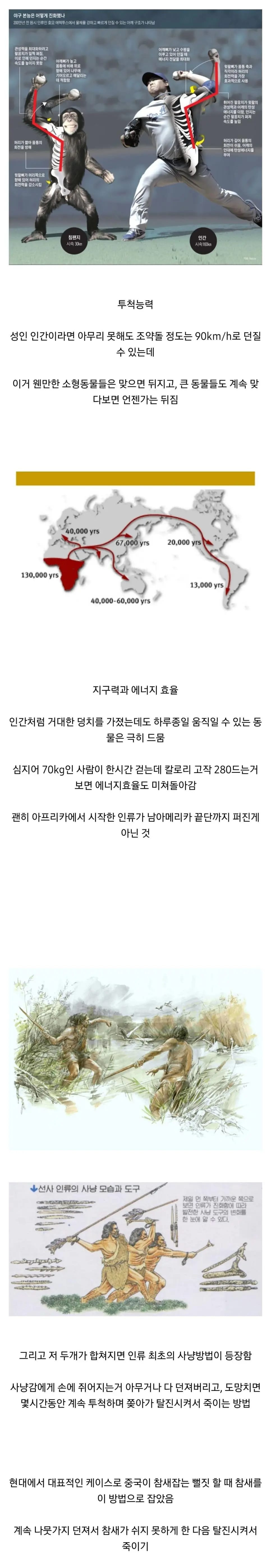 인간이 피지컬로 동물을 압살하는 분야