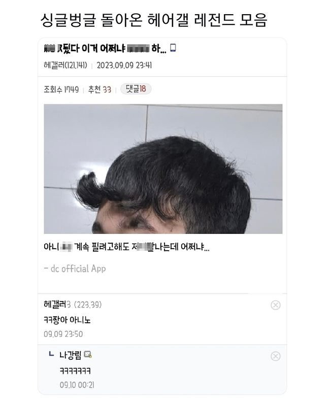 싱글벙글 여전히 웃긴 디씨 헤어갤러리.jpg