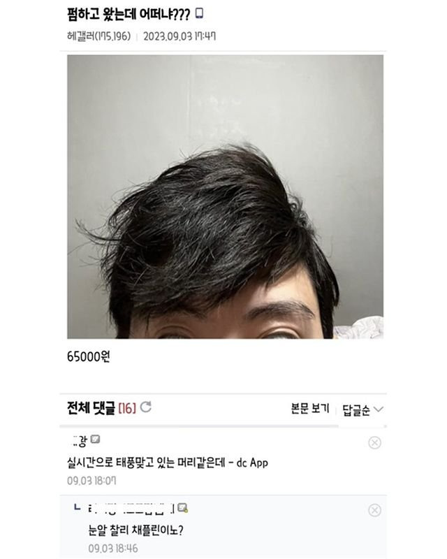 싱글벙글 여전히 웃긴 디씨 헤어갤러리.jpg