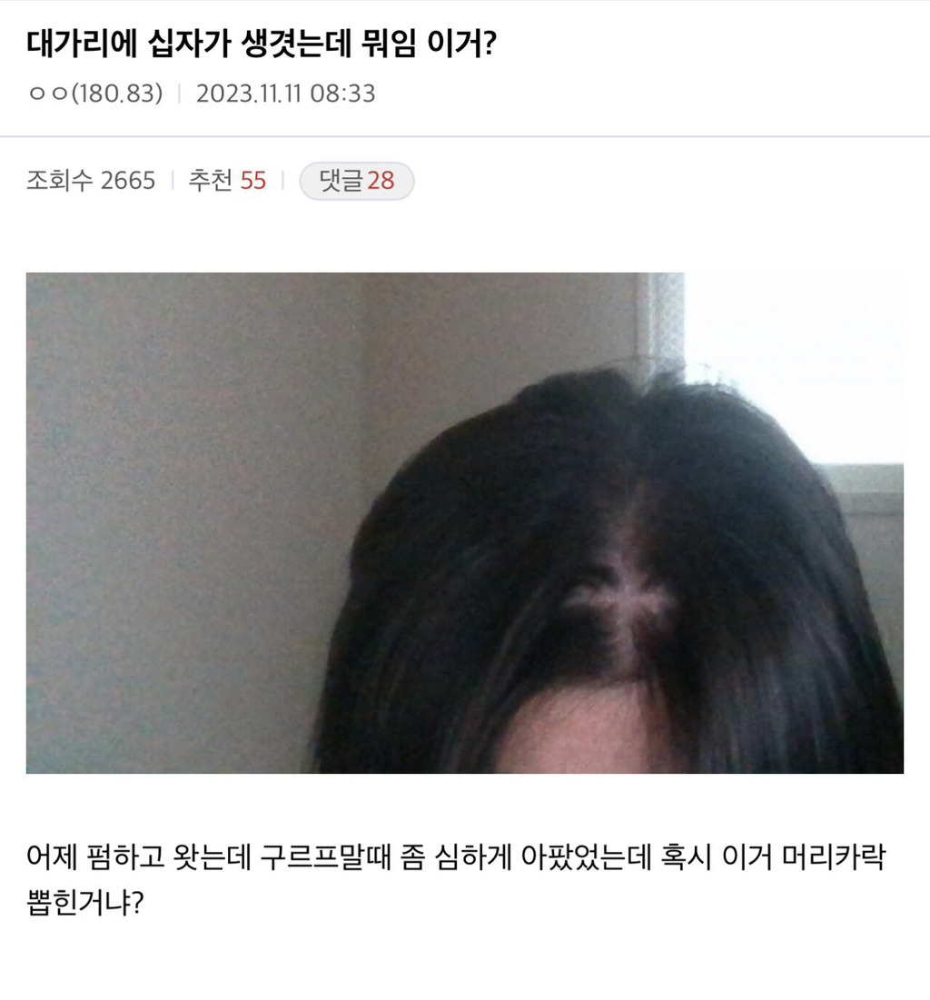 싱글벙글 여전히 웃긴 디씨 헤어갤러리.jpg