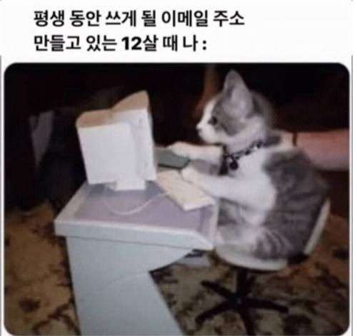 이메일 주소가 유치한 이유.jpg