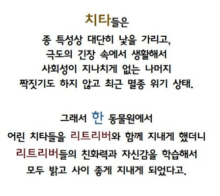 아싸를 인싸로 만드는 능력.jpg