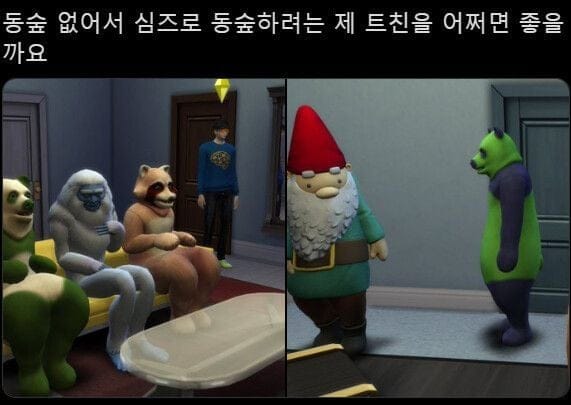 동숲을 하고 싶은데 동숲이 없어