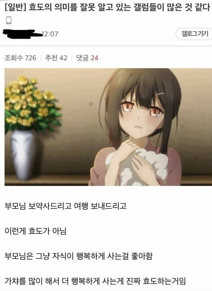 디시갤럼이 생각하는 효도의 의미