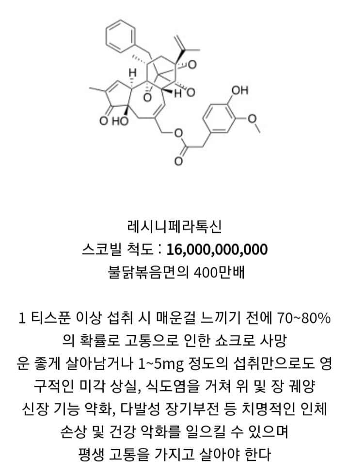 세상에서 제일 매운 물질.