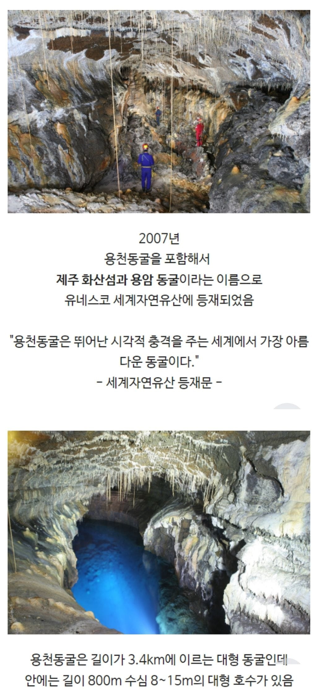 눈이 퇴화된 물고기가 발견된 제주도의 동굴