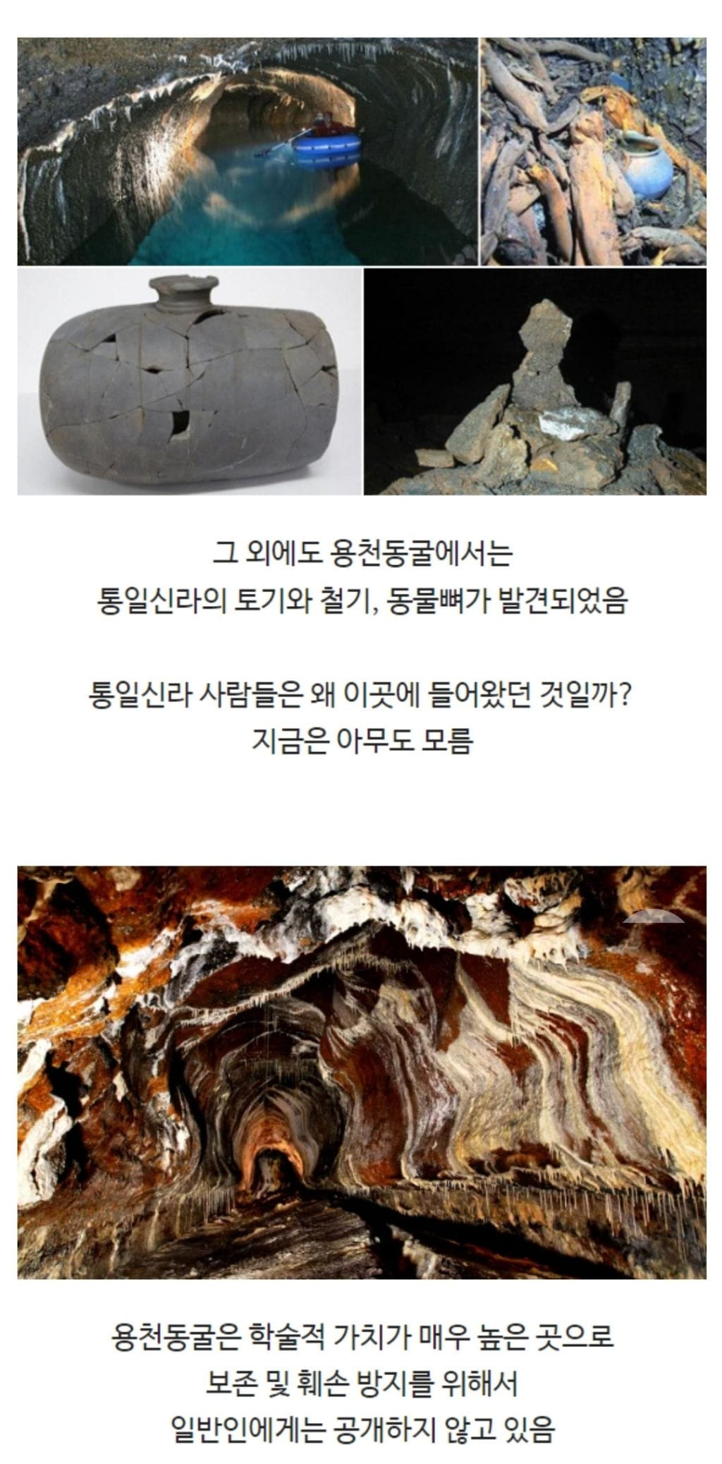 눈이 퇴화된 물고기가 발견된 제주도의 동굴