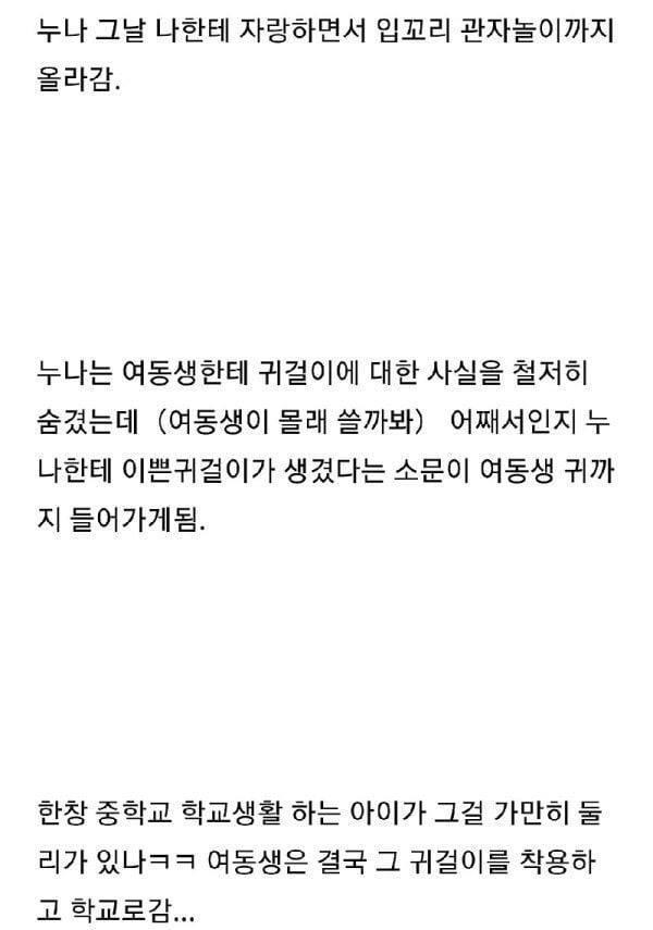 누나의 비싼 귀걸이를 여동생이 몰래 하고감.txt