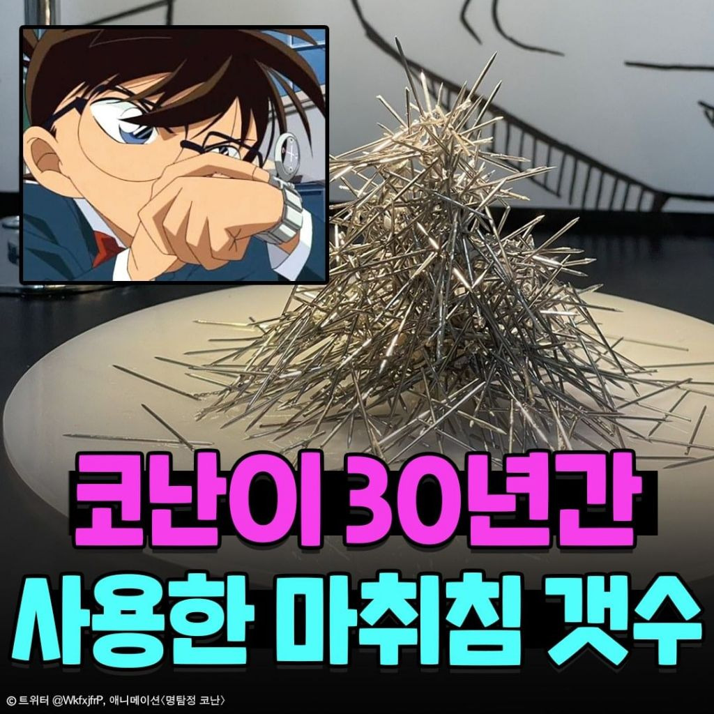 코난 개객끼가 30년간 사용한 마취침 갯수