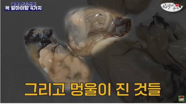 노로바이러스의 감염을 최소화 해서 굴을 먹는 방법