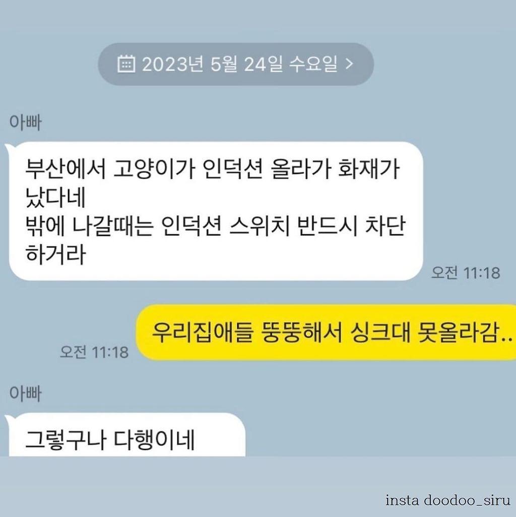 고양이가 인덕션 못 건드리게 하는 법