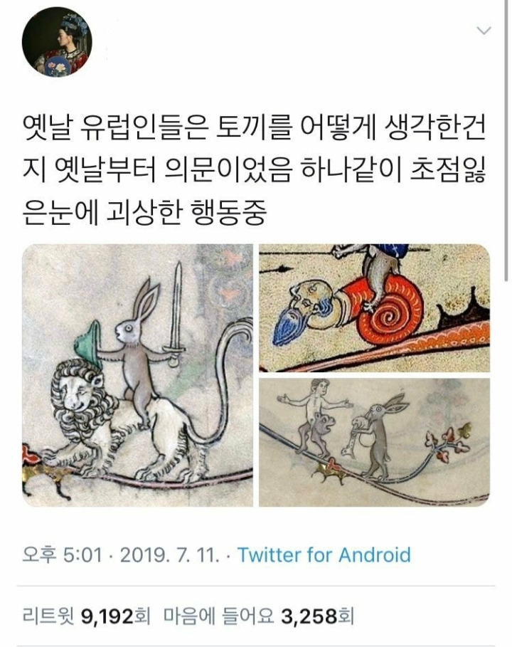 옛날 유럽인들의 토끼 그림이 이상했던 이유.jpg