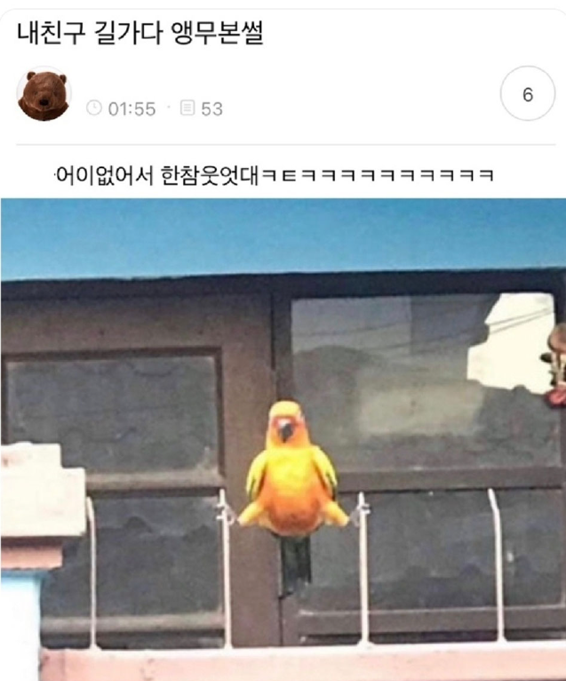길가다 친구가 앵무새 봤데