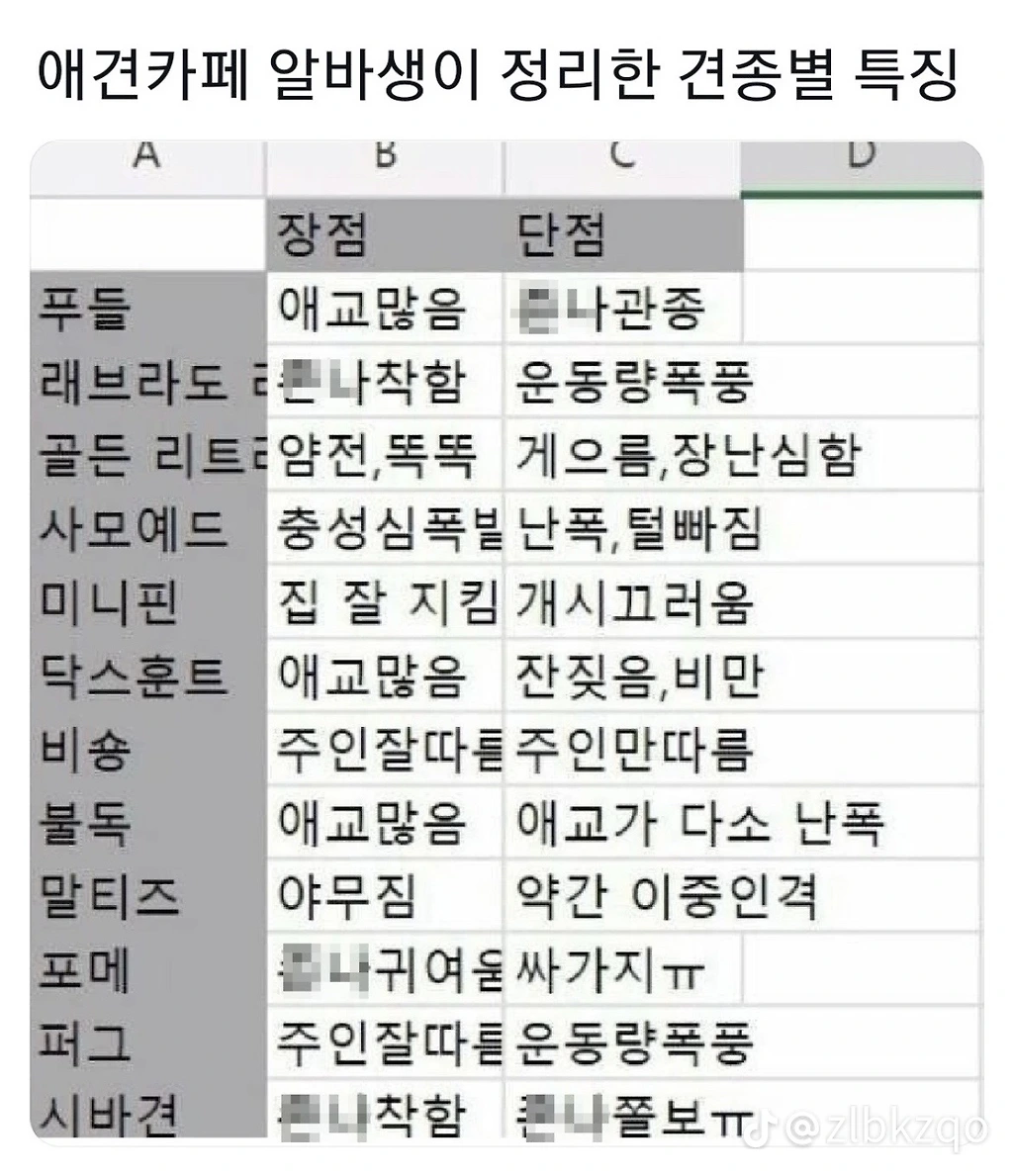 애견카페 알바생이 정리한 견종별 특징