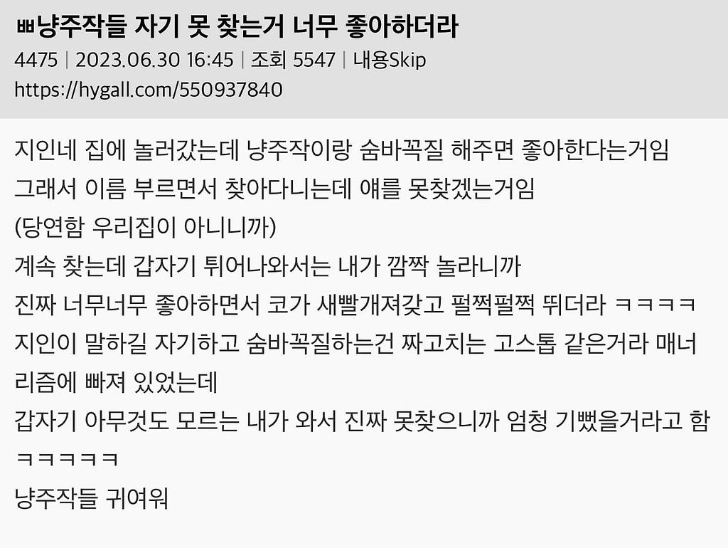 고양이들 자기 못 찾는거 너무 좋아하더라