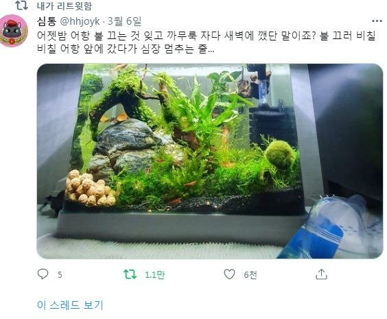 집에 어항있는 사람들은 밤에 어항불을 꺼놔야 하는 이유