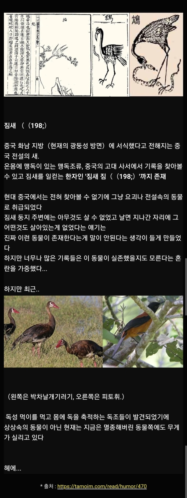 고대 중국의 전설의 생물 짐새