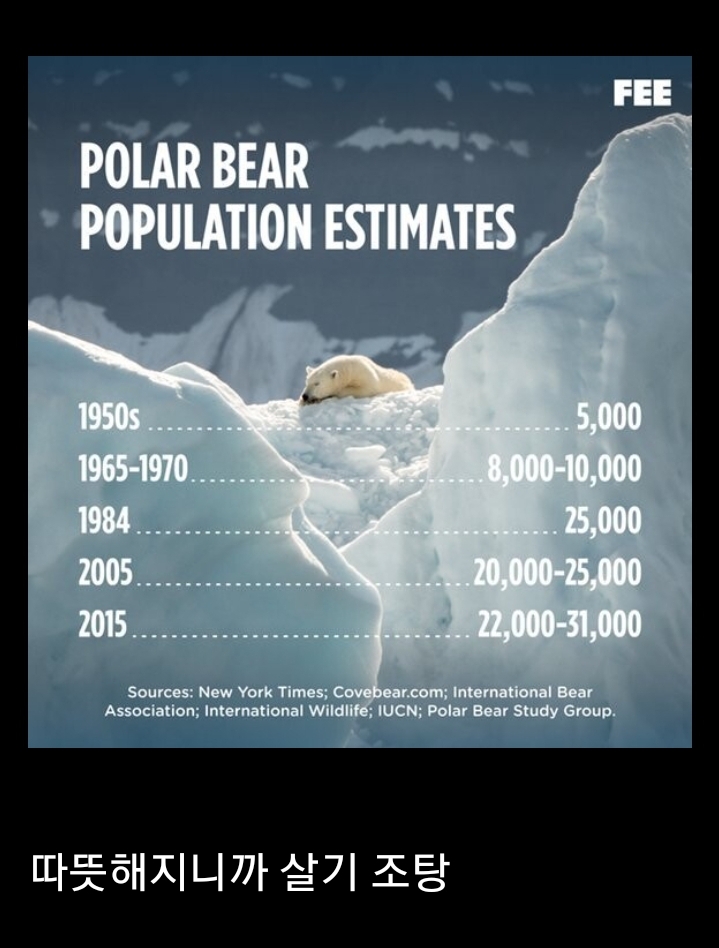 충격적인 북극곰 개체수 근황