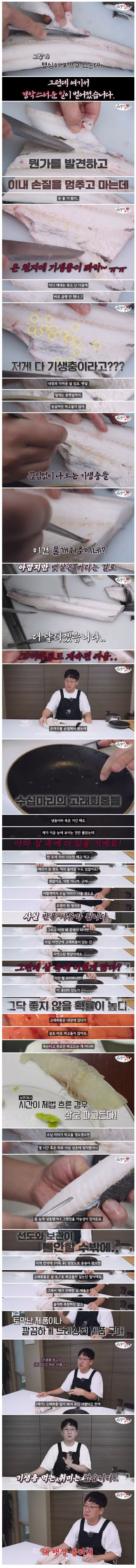 입질의 추억 - 약혐] 생선 회를 싫어하는 이유.jpg