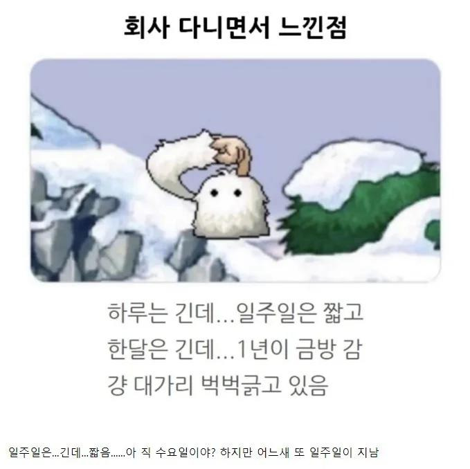 회사 다니면서 느끼는 것.jpg