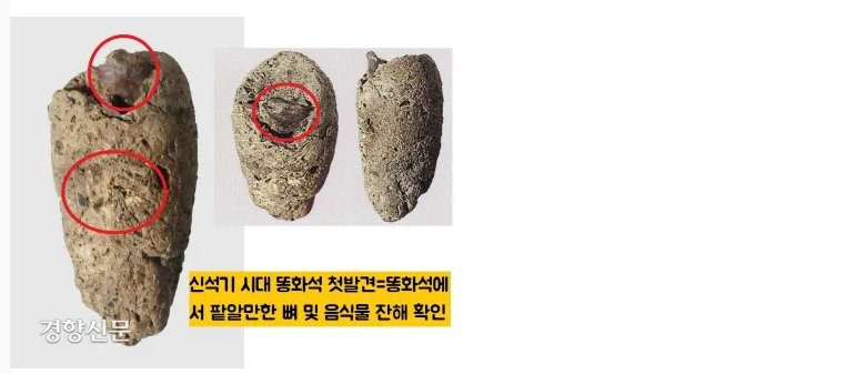 우리나라에서 가장 오래된 똥