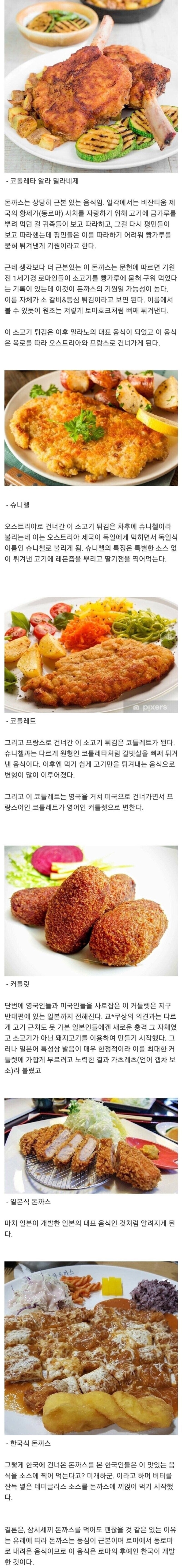 돈까스의 기원과 변화 과정.jpg