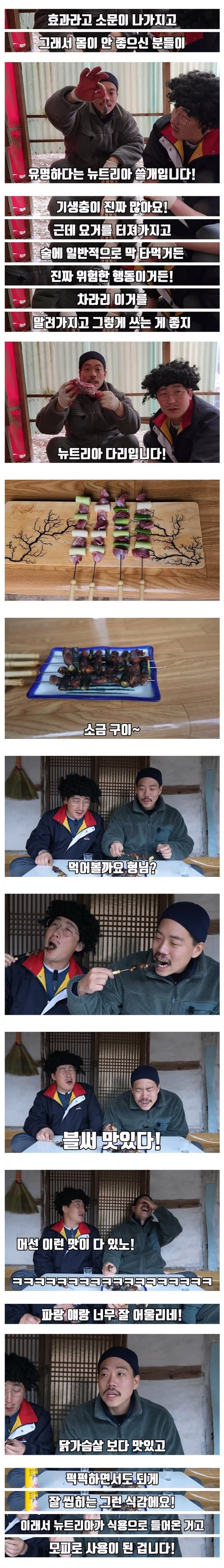 뉴트리아 고기 맛은 과연 어떨까?.jpg