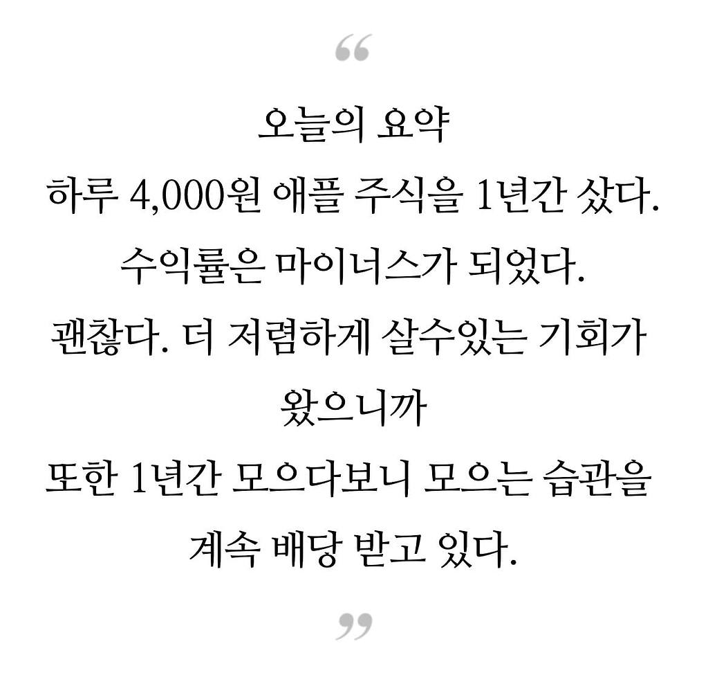 매일 4,000원 1년간 애플 주식에 투자한 결과