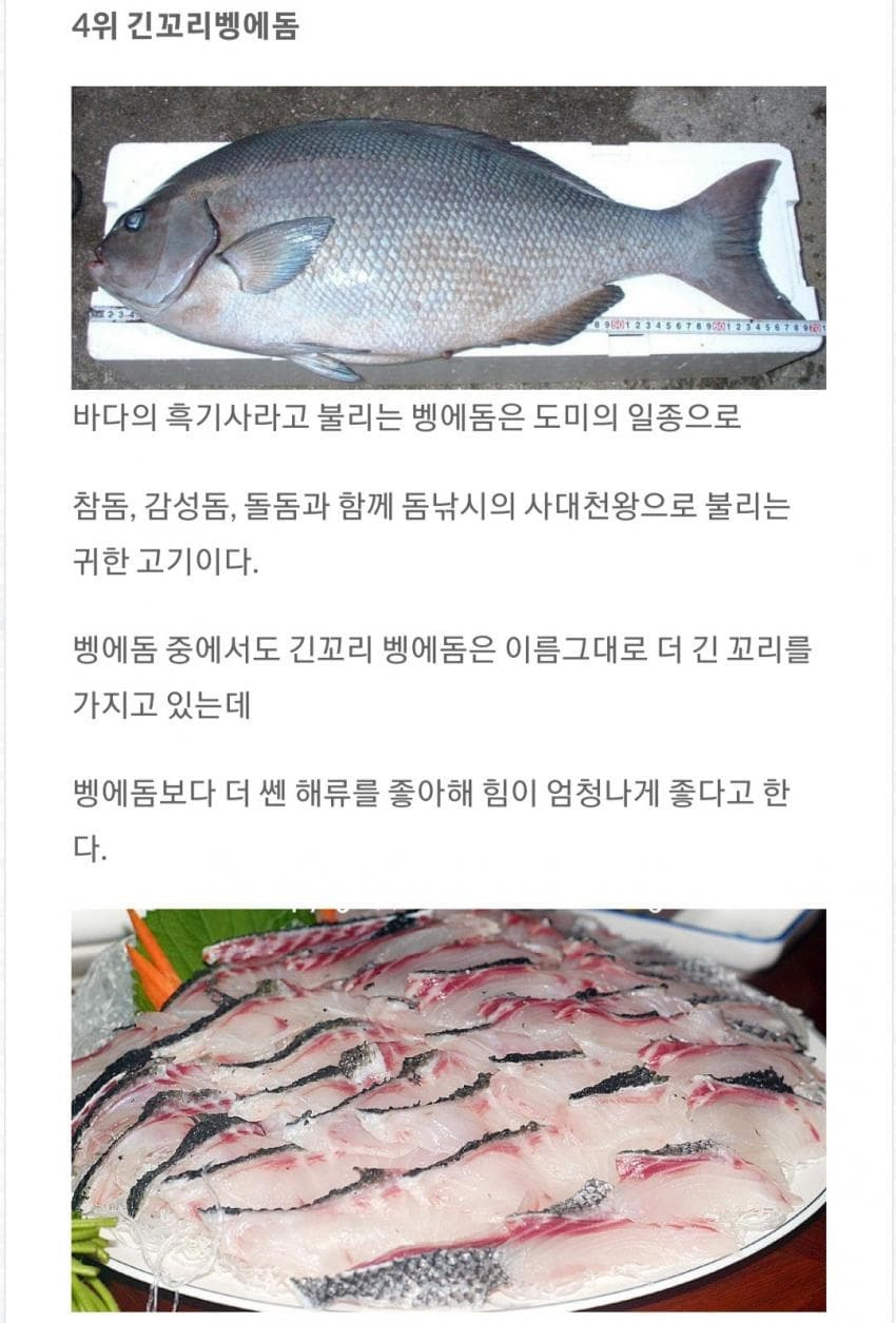 낚시꾼피셜 가장 맛있는 회 TOP 5.jpg