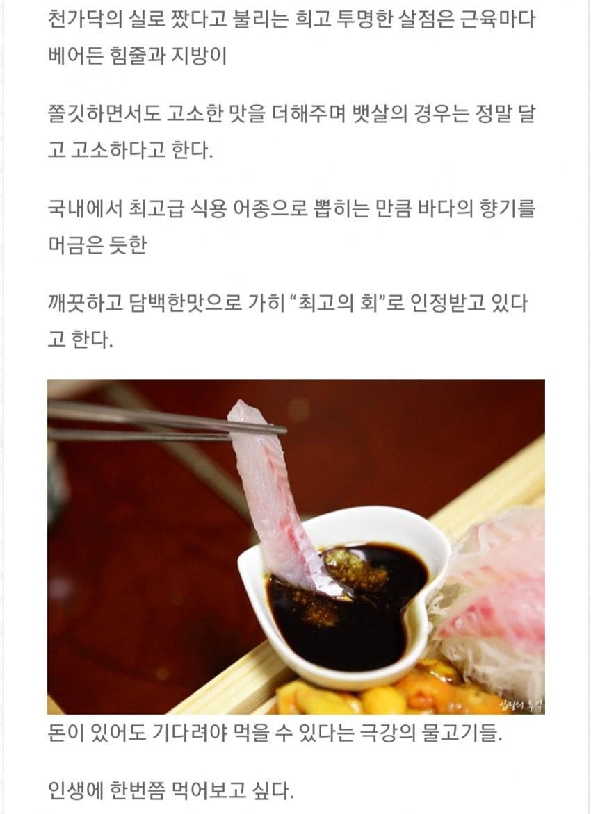 낚시꾼피셜 가장 맛있는 회 TOP 5.jpg