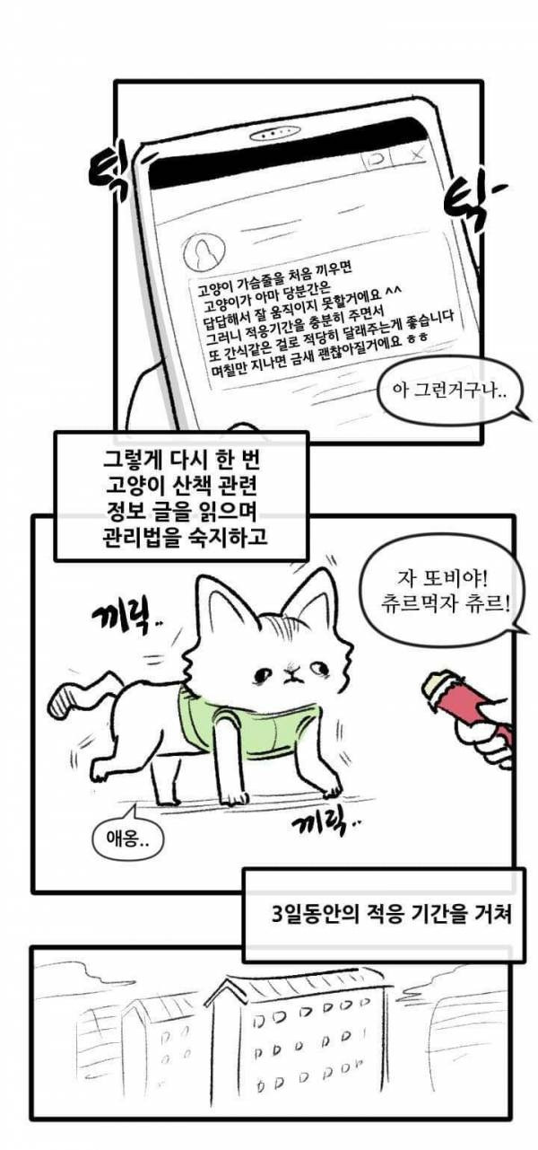 산책 가고 싶은 고양이 manhwa