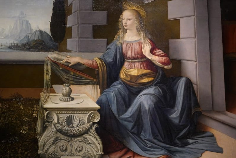 너무 이상하게 그려서 의문이었던 다빈치의 그림