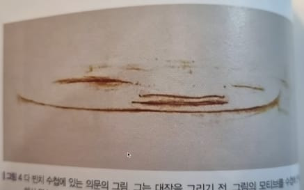 너무 이상하게 그려서 의문이었던 다빈치의 그림
