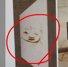 너무 이상하게 그려서 의문이었던 다빈치의 그림