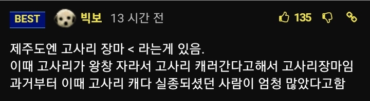 현 시각 감귤국 재난문자 진짜 근황