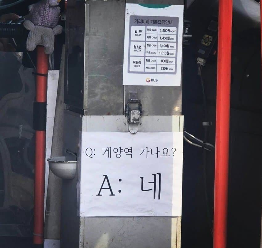 이 버스 계양역 가나요?.jpg