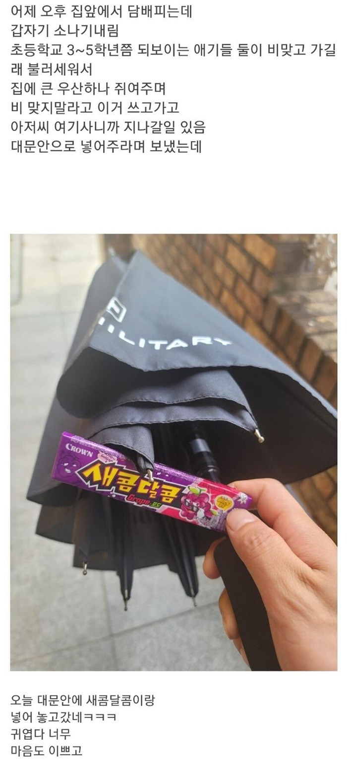 초등학생 인성 수준.jpg