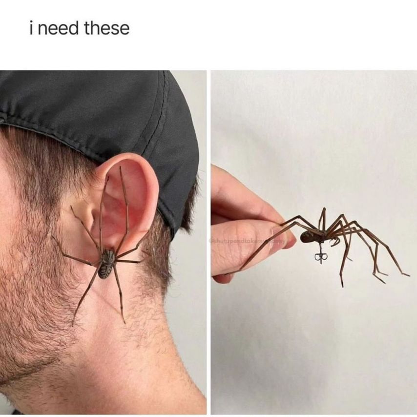 거미 귀걸이.jpg